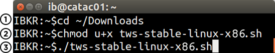 Linux Terminal